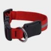 Nite Dawg II LED Collar (Small) -Outdoor Camping Shop go 319398 a