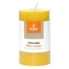 Citronella Pillar Candle -Outdoor Camping Shop go 329462 a