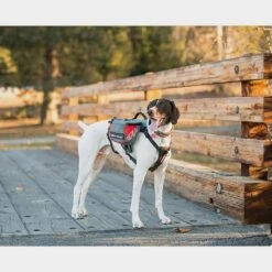 Summit Backpack (Medium) -Outdoor Camping Shop go 331556 c