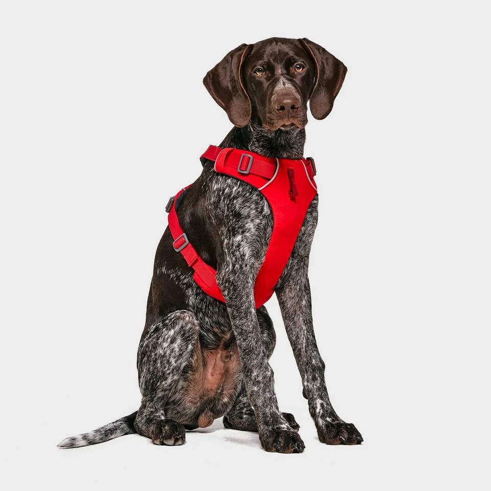 Ruffwear Front Range Dog Harness Red 3 Ruffwear Front Range Dog Harness Red