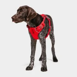 Ruffwear Front Range Dog Harness Red 10 Ruffwear Front Range Dog Harness Red -Outdoor Camping Shop go 376054 c