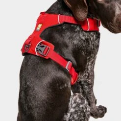 Ruffwear Front Range Dog Harness Red 11 Ruffwear Front Range Dog Harness Red -Outdoor Camping Shop go 376054 d