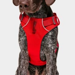 Ruffwear Front Range Dog Harness Red 12 Ruffwear Front Range Dog Harness Red -Outdoor Camping Shop go 376054 e