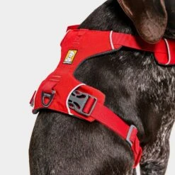 Ruffwear Front Range Dog Harness Red 13 Ruffwear Front Range Dog Harness Red -Outdoor Camping Shop go 376054 f