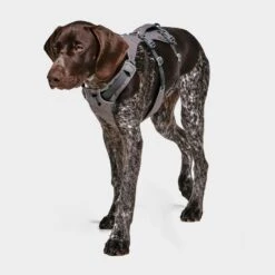 Ruffwear Flagline Dog Harness -Outdoor Camping Shop go 376056 c