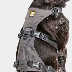 Ruffwear Flagline Dog Harness -Outdoor Camping Shop go 376056 f