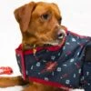 Christmas Waterproof Dog Coat