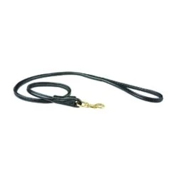 Weatherbeeta Rolled Leather Dog Lead -Outdoor Camping Shop go 517574 z